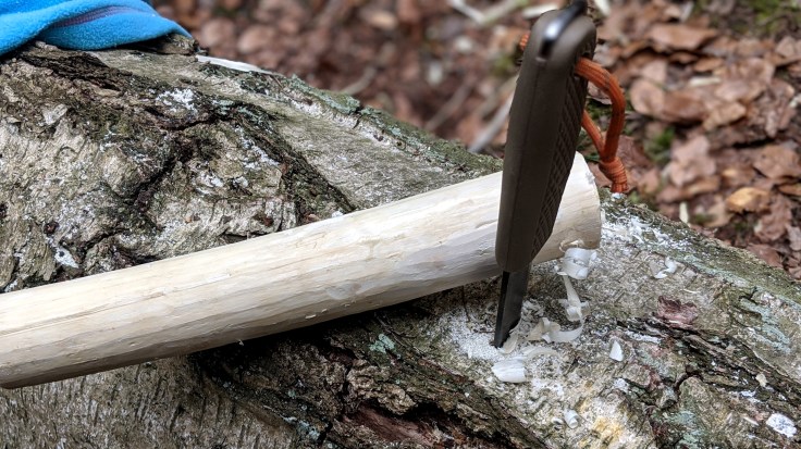 00100dPORTRAIT_00100_BURST20200412151858070_COVER