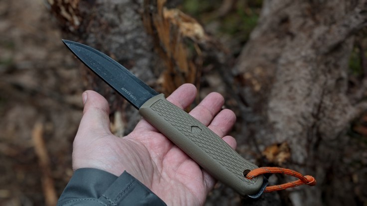 00100dPORTRAIT_00100_BURST20200413164411226_COVER