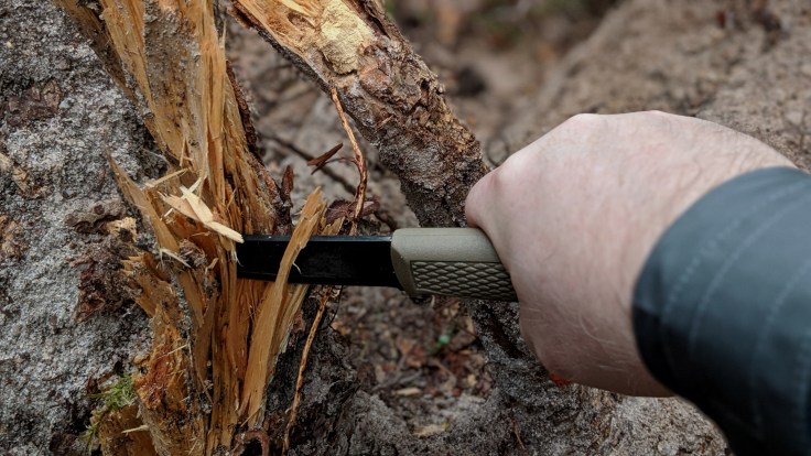 00100dPORTRAIT_00100_BURST20200413164524578_COVER